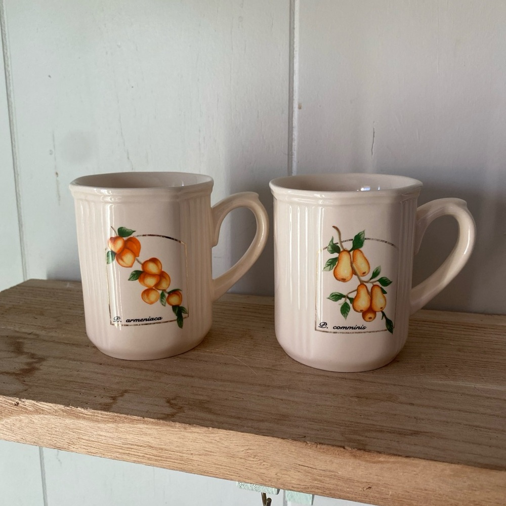 Vintage ELGIN rare Cream Mugs with Fruit Motif